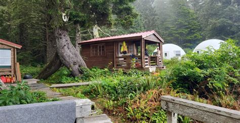 Unplug and Discover True Peace at the Guardian of Morning Magic Wood Cabin